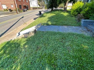 Bush Trimming by Aaron Graham for Gary B. in Kannapolis, NC