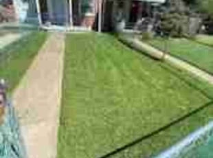 Lotanna O.'s Lawn Mowing service result