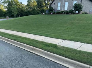 ChiQuitta W.'s Lawn Service service result