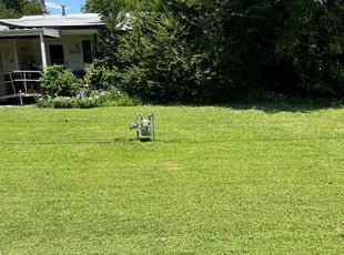 Sonya G.'s Lawn Care service result