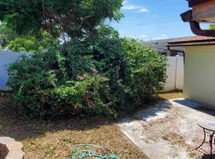 Bush Trimming by Chris Guillen for Mitchell C. in New Port Richey, FL