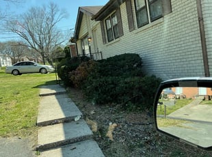 Bush Trimming by Green (Anthony) Smile (Anthony Silvesto) for Steven L. in Nashville, TN