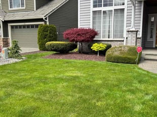 Darren H.'s Yard Cutting service result