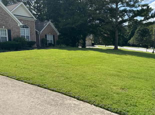 Jerome L.'s Yard Cutting service result