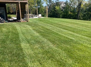 Karen G.'s Lawn Mowing Service service result