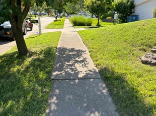 Diane A.'s Lawn Mowing service result