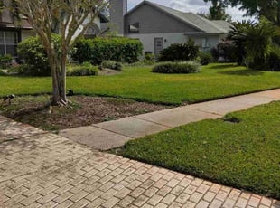 Camissa J.'s Yard Cutting service result