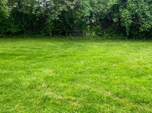 Christopher S.'s Lawn Mowing service result