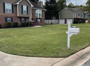 Sarah M.'s Lawn Mowing service result