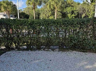 Bush Trimming by Rick Buricca for Nina M. in Boca Raton, FL