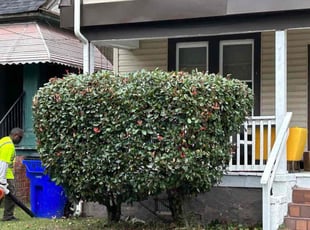 Bush Trimming by James Mozelle for Janeih B. in Norfolk, VA