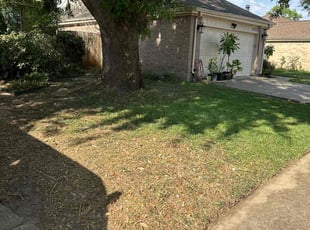 Bush Trimming by Stephen Morales for Amir S. in Sugar Land, TX