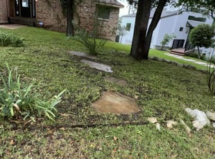 Weeding by Franklin Garcia for Devani H. in Austin, TX