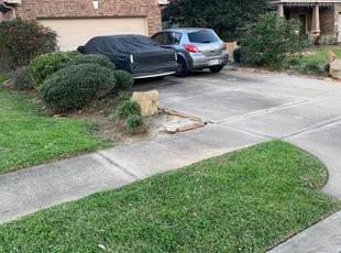 Bush Trimming by Rigo Mireles for Andre N. in Katy, TX