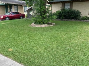 Melinda W.'s Grass Cutting service result