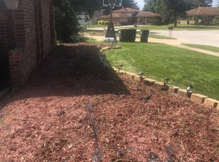 Weeding by Natalie Jones for Anthony G. in Lansing, IL