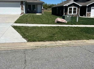 Darrin W.'s Lawn Mowing service result
