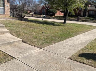 Cleanups by JosΓ© Peraza for Justin B. in Rockwall, TX
