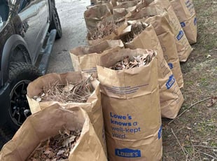 Leaf Removal by Antwain Turner for Elizabeth A. in Ladson, SC