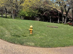 Sue C.'s Grass Cutting service result
