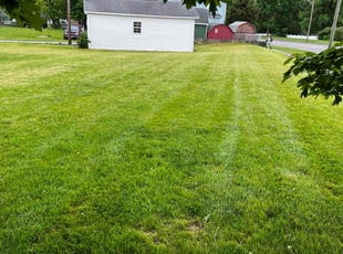 Priscilla M.'s Lawn Service service result