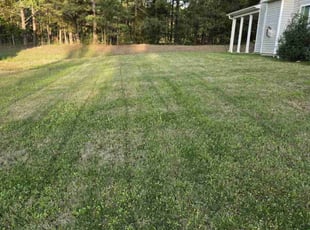 Linda P.'s Lawn Care service result