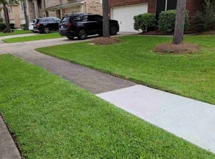 Sandra M.'s Lawn Service service result