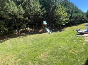 Paula G.'s Lawn Mowing service result