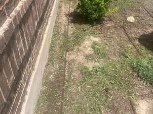 Renee G.'s Flower Bed Weeding service result