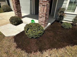Mulching by Spencer Reed for Jenna C. in Hutto, TX