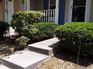 Bush Trimming by Dwayne Frazer for Candita P. in Perry Hall, MD