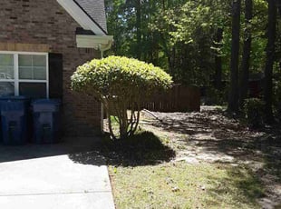 Bush Trimming by Jerry Gross Jr for David T. in Grayson, GA