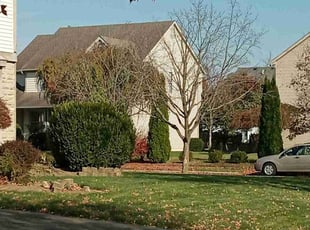 Cleanups by Elisha Nelson for Doreen Y. in Dublin, OH
