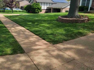 Jenny Z.'s Lawn Service service result