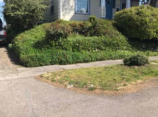 Bush Trimming by Patrick Janousek for Kjirstin B. in Tacoma, WA