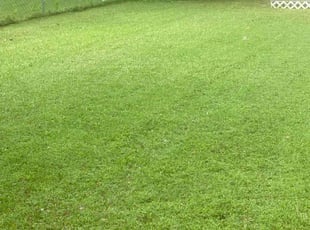 Samuel J.'s Lawn Mowing Service service result