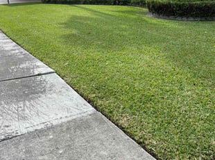 ELIZABETH F.'s Lawn Service service result