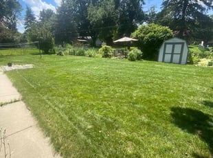 Michelle C.'s Lawn Mowing service result