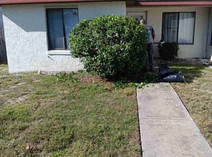 Bush Trimming by Dan Young & Renee Farmer Young's Lawn Care for Jeremy D. in Orlando, FL