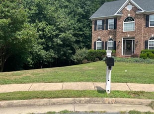 Tammie D.'s Yard Cutting service result