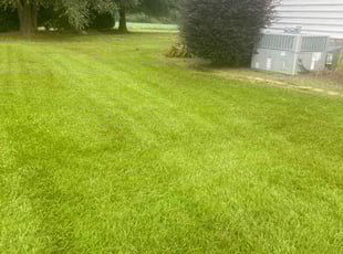 Rene R.'s Lawn Care service result