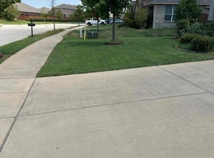 Israel R.'s Yard Cutting service result