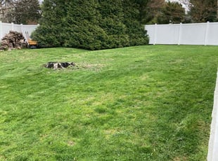 Ethelyn H.'s Lawn Mowing service result