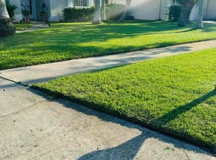 Elisa B.'s Lawn Service service result