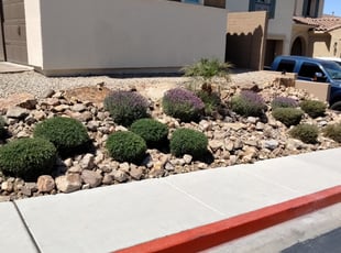 Bush Trimming by Kristine Roach for Christy S. in Henderson, NV