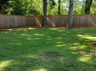 Casey T.'s Lawn Care service result