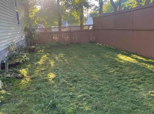 Cleanups by Michael King for Barbara B. in Elyria, OH