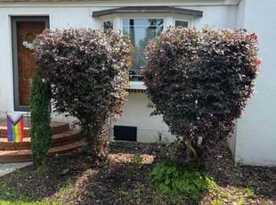 Bush Trimming by Bryan Oren for Elizabeth T. in Norfolk, VA