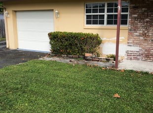 Bush Trimming by Dustin Yaklin for Peter G. in Boca Raton, FL