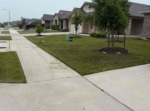 Surujwatie R.'s Lawn Care service result